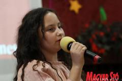 sulisztar1