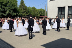 IMG-4635
