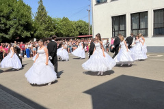 IMG-4638