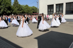 IMG-4640