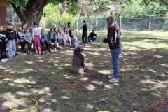 Szatymaz_kutyaterapia_1